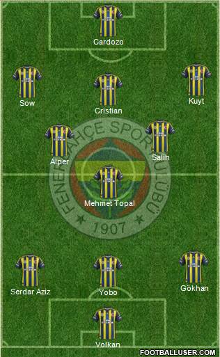 Fenerbahçe SK Formation 2013