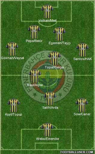 Fenerbahçe SK Formation 2013