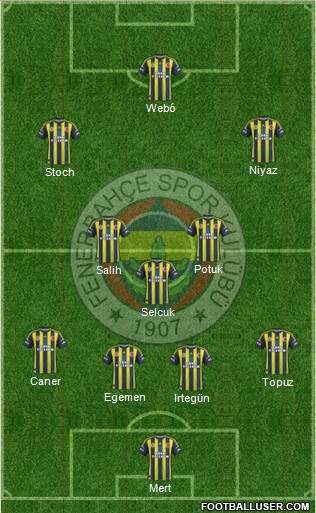 Fenerbahçe SK Formation 2013