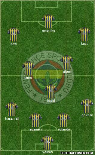 Fenerbahçe SK Formation 2013