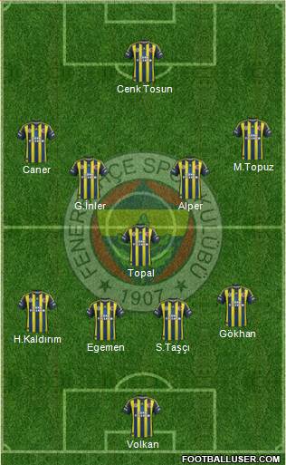 Fenerbahçe SK Formation 2013