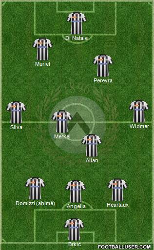 Udinese Formation 2013
