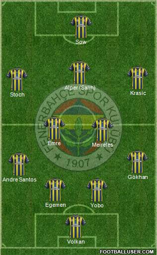 Fenerbahçe SK Formation 2013