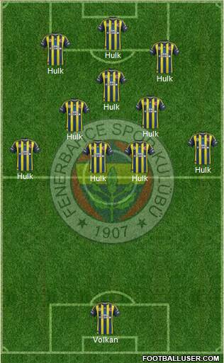 Fenerbahçe SK Formation 2013