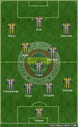 Fenerbahçe SK Formation 2013