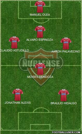 CD Ñublense S.A.D.P. Formation 2013