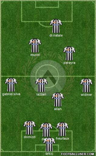 Udinese Formation 2013