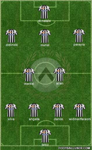 Udinese Formation 2013