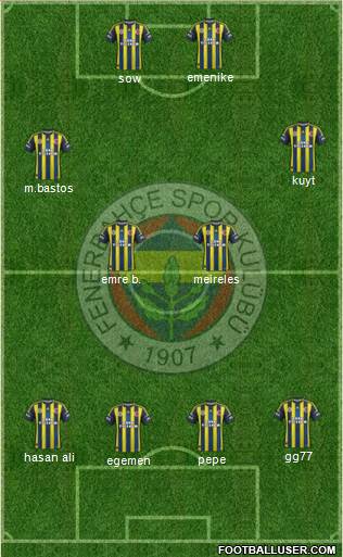 Fenerbahçe SK Formation 2013