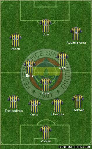 Fenerbahçe SK Formation 2013