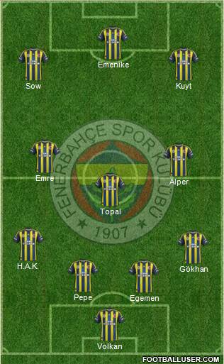 Fenerbahçe SK Formation 2013