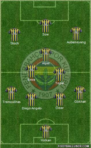 Fenerbahçe SK Formation 2013