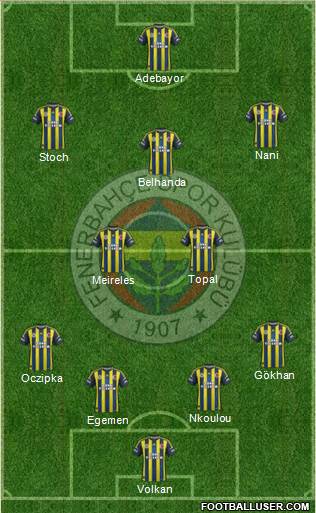 Fenerbahçe SK Formation 2013