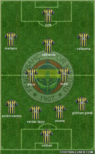 Fenerbahçe SK Formation 2013