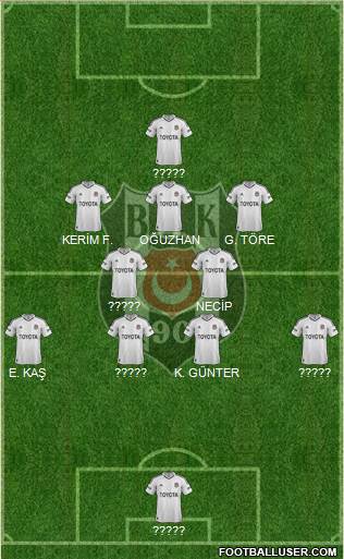 Besiktas JK Formation 2013