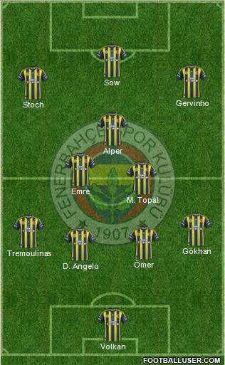Fenerbahçe SK Formation 2013