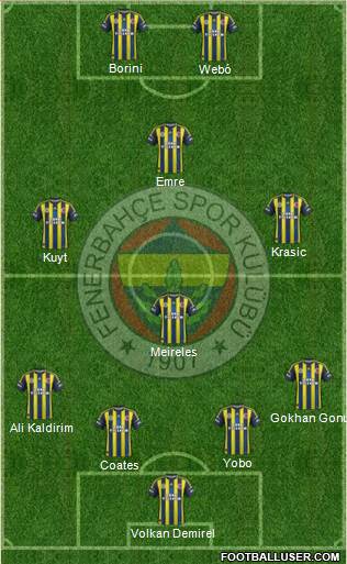 Fenerbahçe SK Formation 2013
