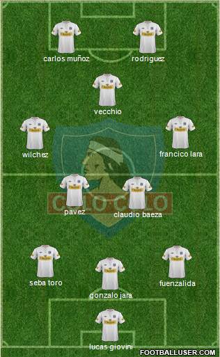 CSD Colo Colo Formation 2013
