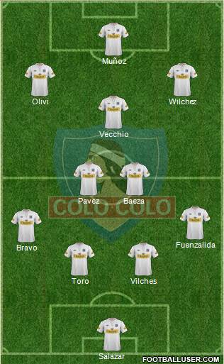 CSD Colo Colo Formation 2013