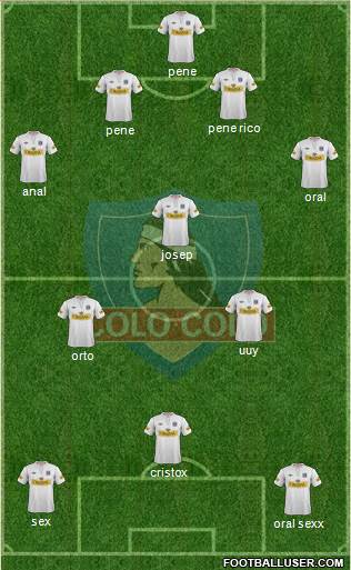 CSD Colo Colo Formation 2013