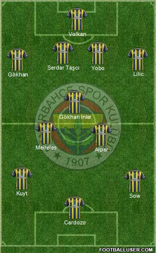 Fenerbahçe SK Formation 2013
