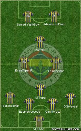 Fenerbahçe SK Formation 2013