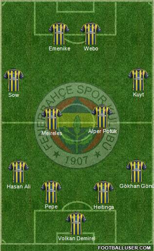 Fenerbahçe SK Formation 2013
