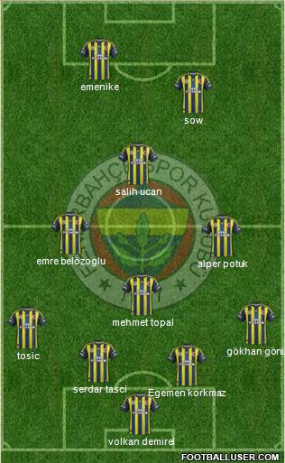 Fenerbahçe SK Formation 2013