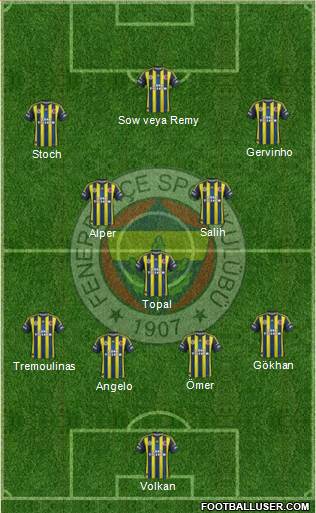 Fenerbahçe SK Formation 2013