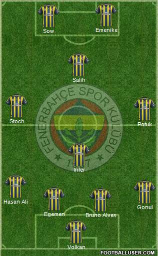 Fenerbahçe SK Formation 2013