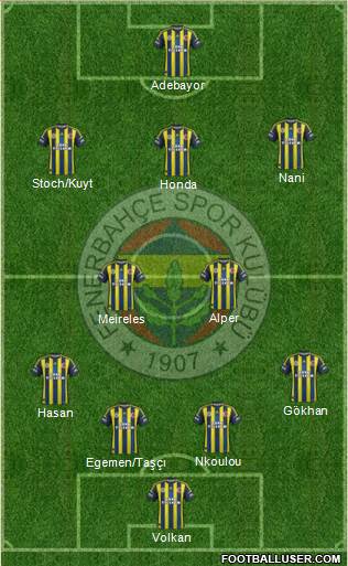 Fenerbahçe SK Formation 2013