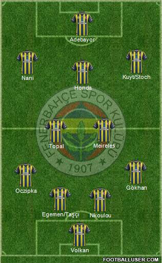 Fenerbahçe SK Formation 2013
