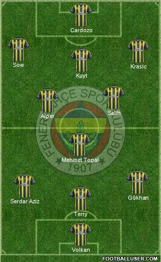 Fenerbahçe SK Formation 2013