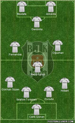 Besiktas JK Formation 2013