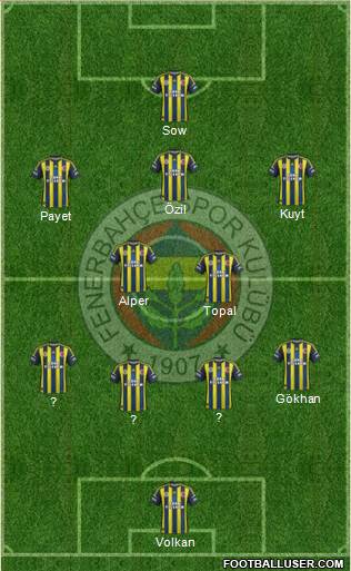Fenerbahçe SK Formation 2013