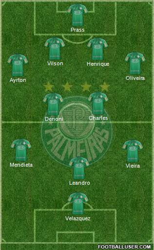 SE Palmeiras Formation 2013