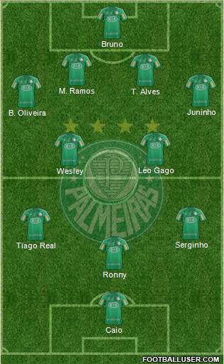SE Palmeiras Formation 2013