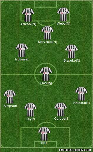 Newcastle United Formation 2013