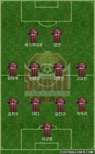 FC Seoul Formation 2013
