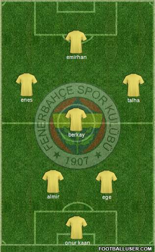 Fenerbahçe SK Formation 2013