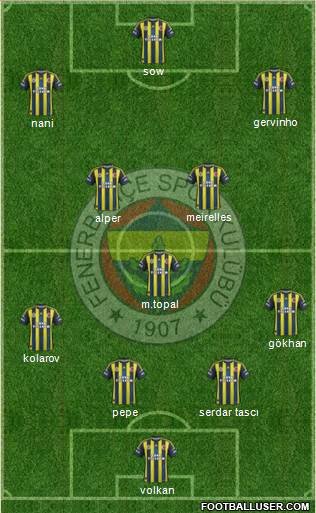 Fenerbahçe SK Formation 2013