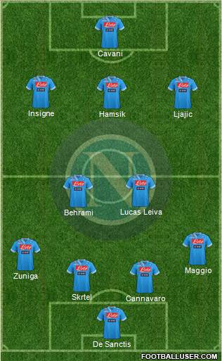 Napoli Formation 2013