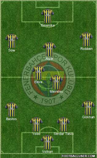Fenerbahçe SK Formation 2013