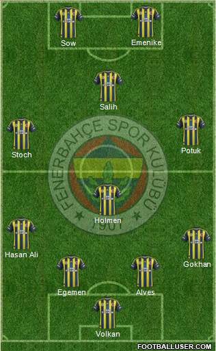 Fenerbahçe SK Formation 2013