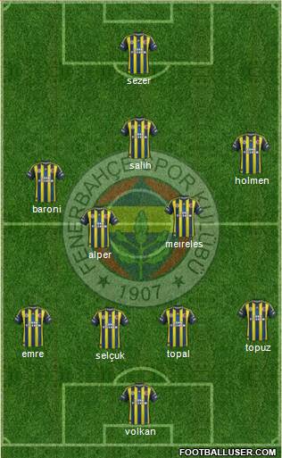 Fenerbahçe SK Formation 2013