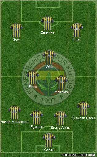Fenerbahçe SK Formation 2013