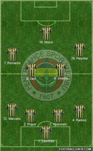 Fenerbahçe SK Formation 2013