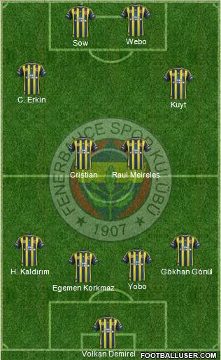 Fenerbahçe SK Formation 2013