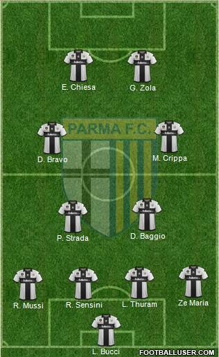 Parma Formation 2013