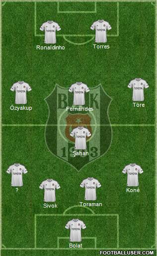Besiktas JK Formation 2013